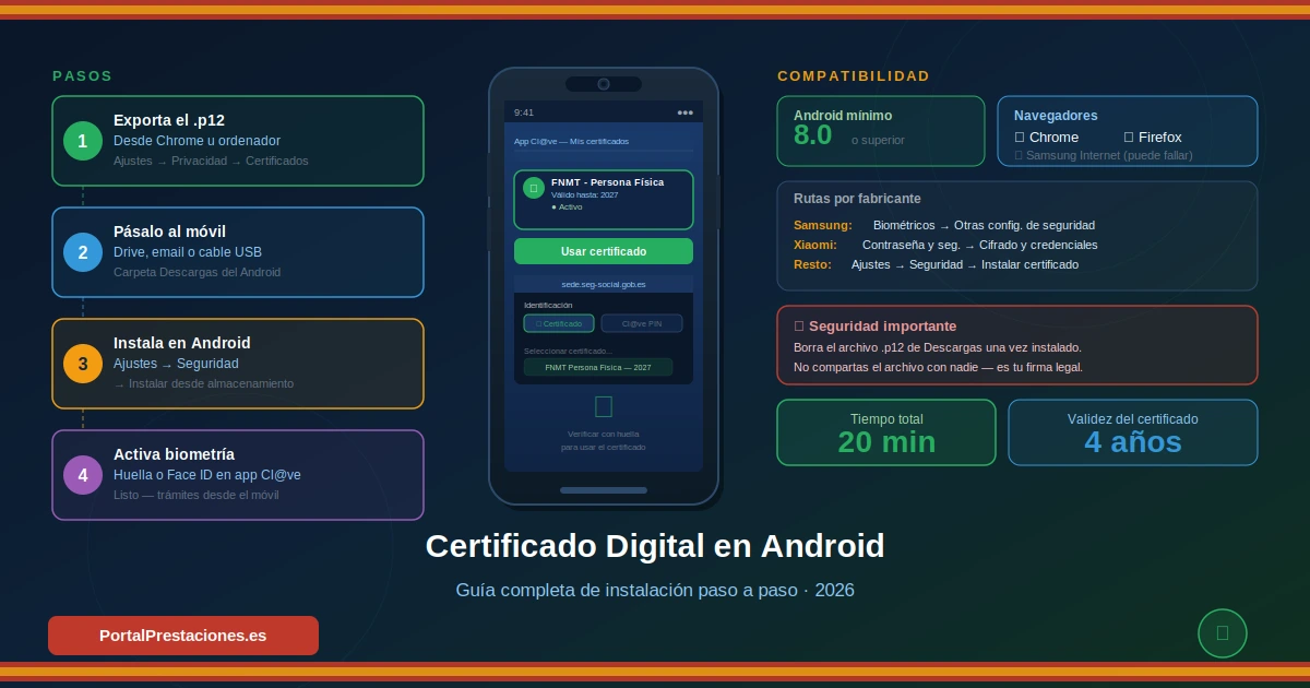 Infografía con los 4 pasos para instalar el certificado digital en un móvil Android: exportar el .p12, pasarlo al móvil, instalarlo en Ajustes de seguridad y activar la biometría en la app Cl@ve