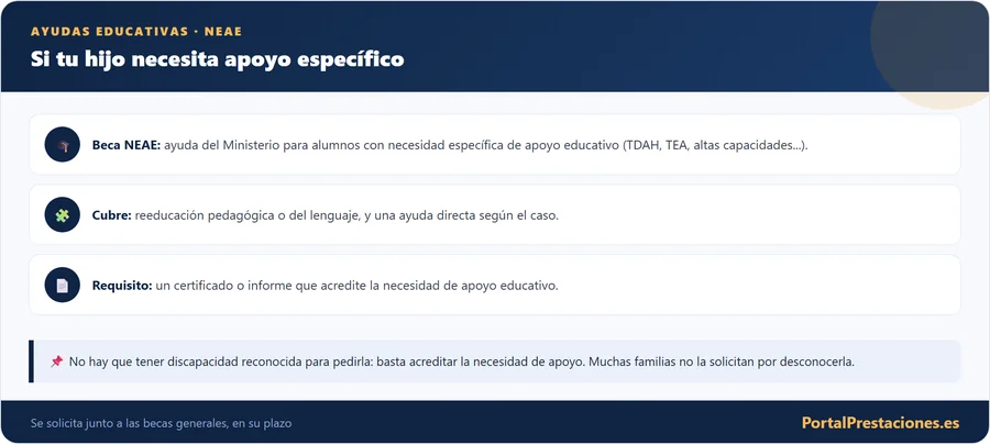 Ayudas para estudiantes con necesidades especiales NEAE