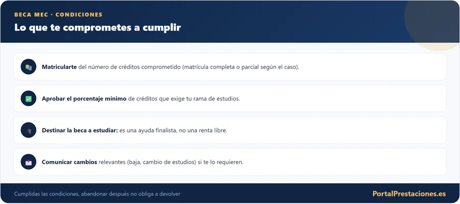 Condiciones que te comprometes a cumplir con la beca MEC
