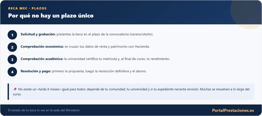 Fases y plazo de resolucion de la beca MEC