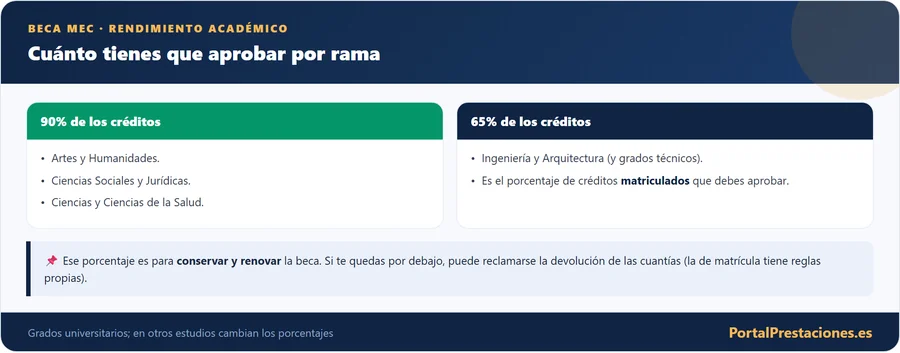 Rendimiento academico minimo de la beca MEC por rama