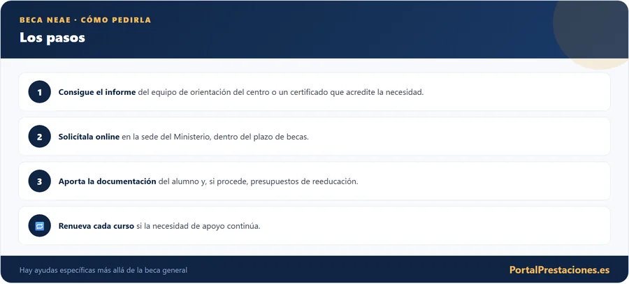 Como pedir la beca NEAE