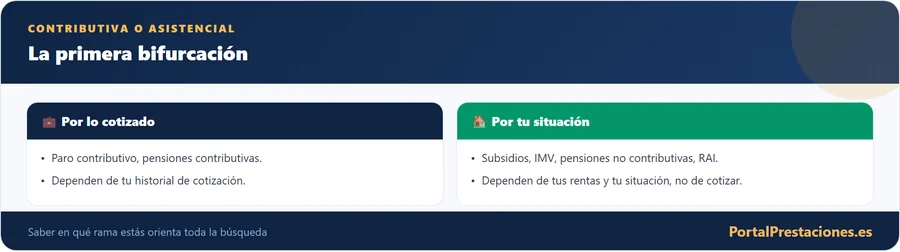 Prestacion contributiva o asistencial la primera bifurcacion