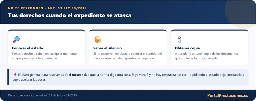 Tus derechos cuando el expediente administrativo se atasca