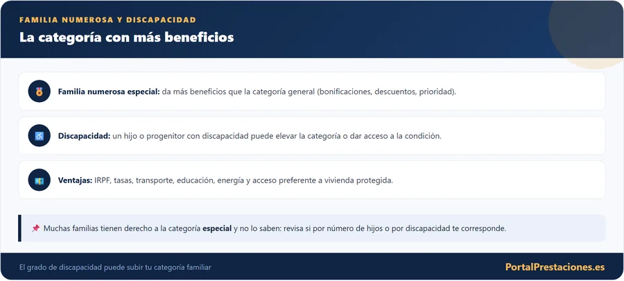 Familia numerosa especial y discapacidad beneficios