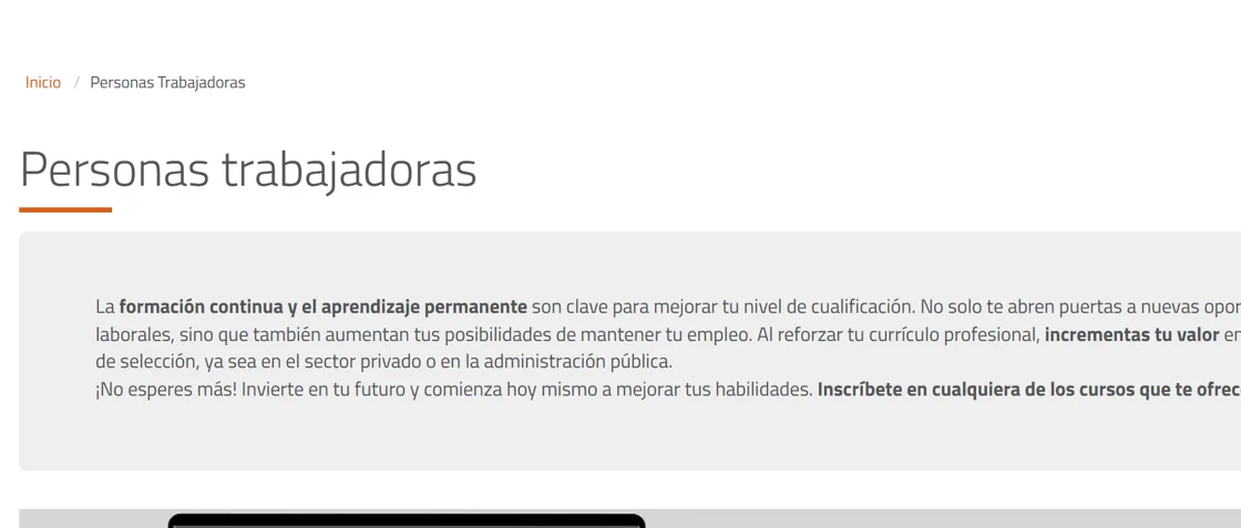 Portal de Fundae para personas trabajadoras: formacion subvencionada