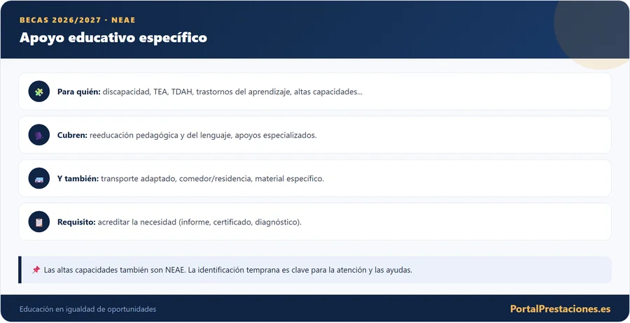 Ayudas NEAE: apoyo educativo específico