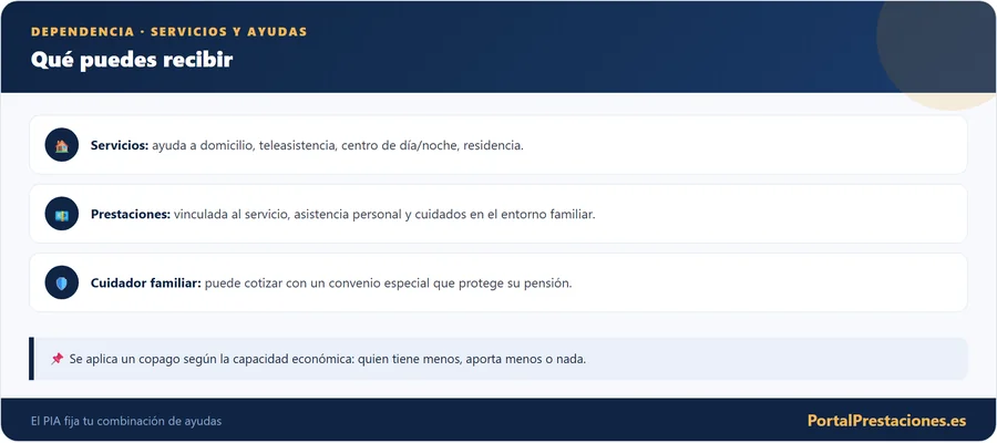 Dependencia: servicios y ayudas