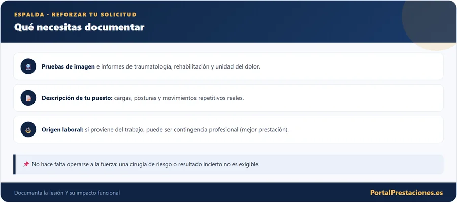 Qué documentar en la solicitud