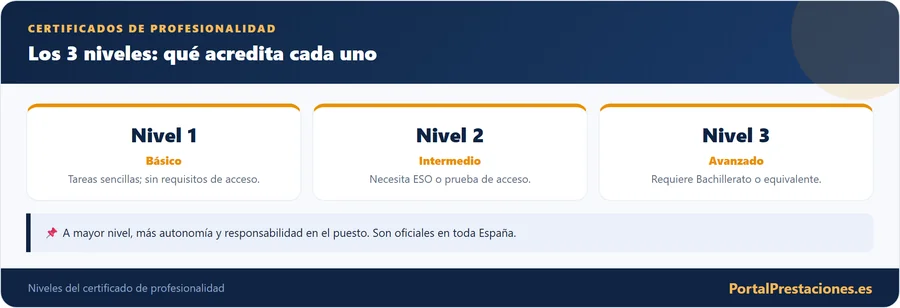 Los 3 niveles del certificado de profesionalidad