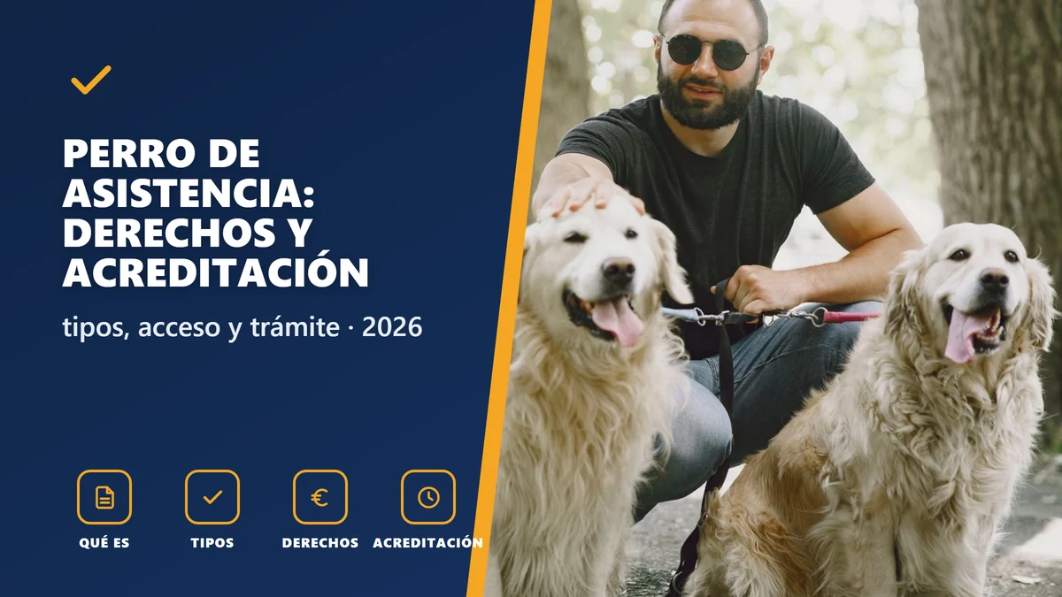 Perro de asistencia en 2026: tipos, derechos de acceso y cómo se acredita