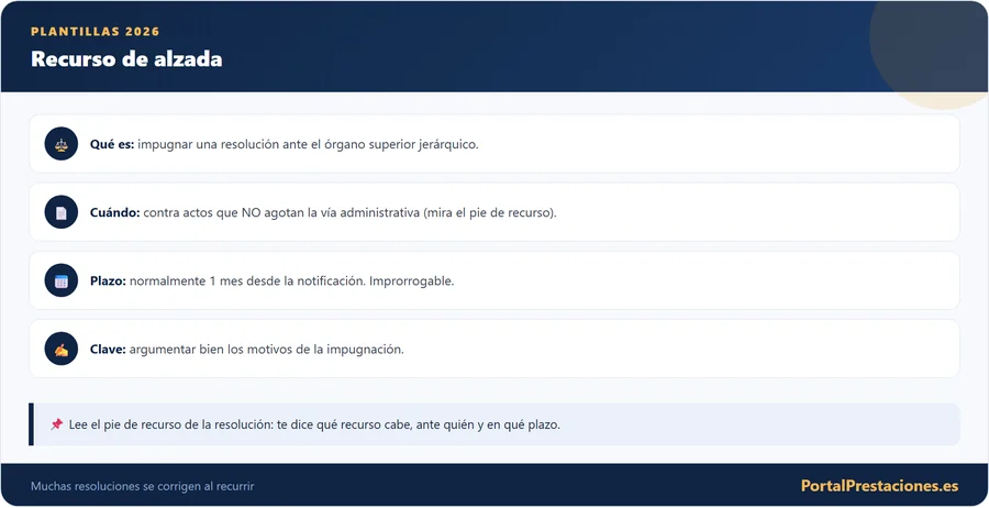 El recurso de alzada: qué es y plazos