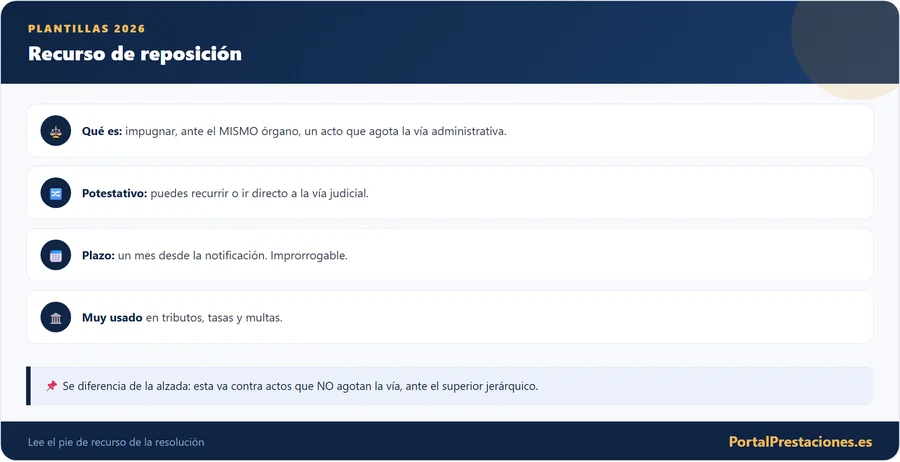 Modelo de recurso de reposición