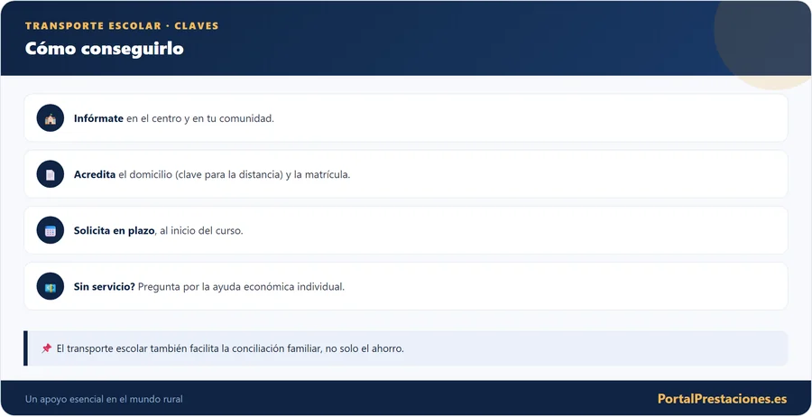 Transporte escolar: cómo conseguirlo